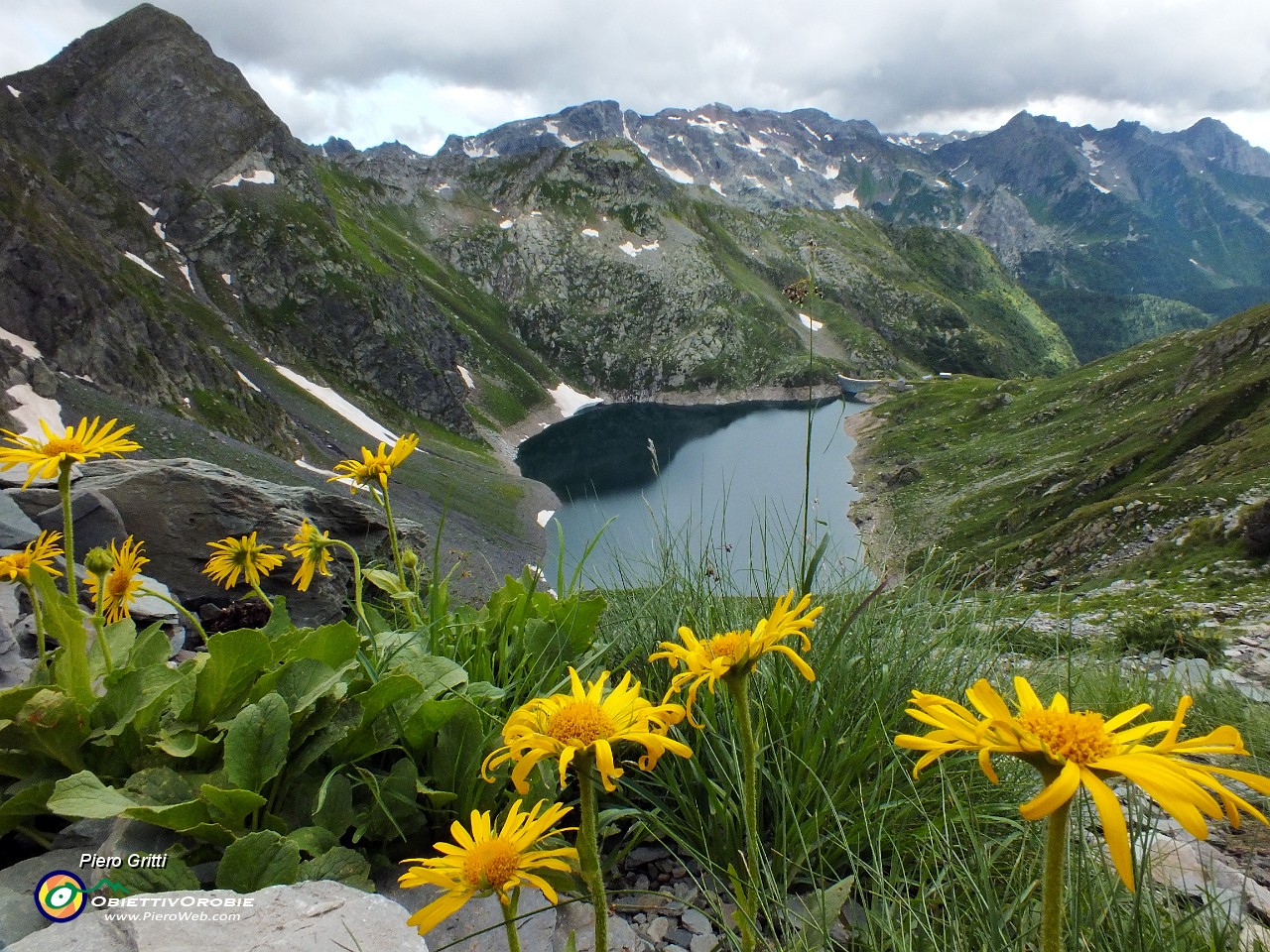 92 Arnica con vista sul Lago del Diavolo.JPG